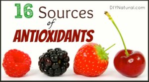 Antioxidant foods antioxidants food rich sources natural list most diynatural eating contains high may